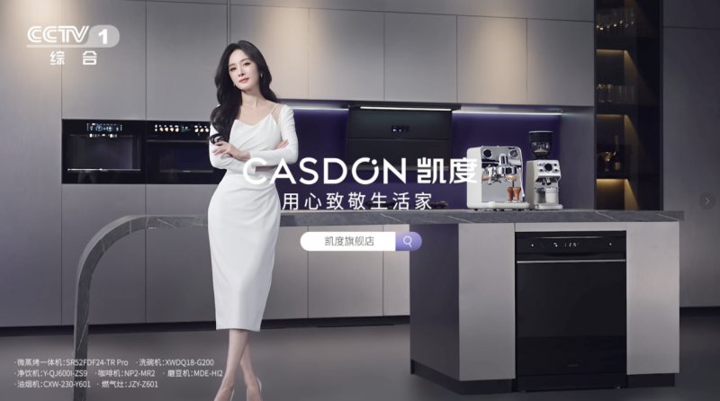 凯度ZR PRO 2蒸烤组合烹饪