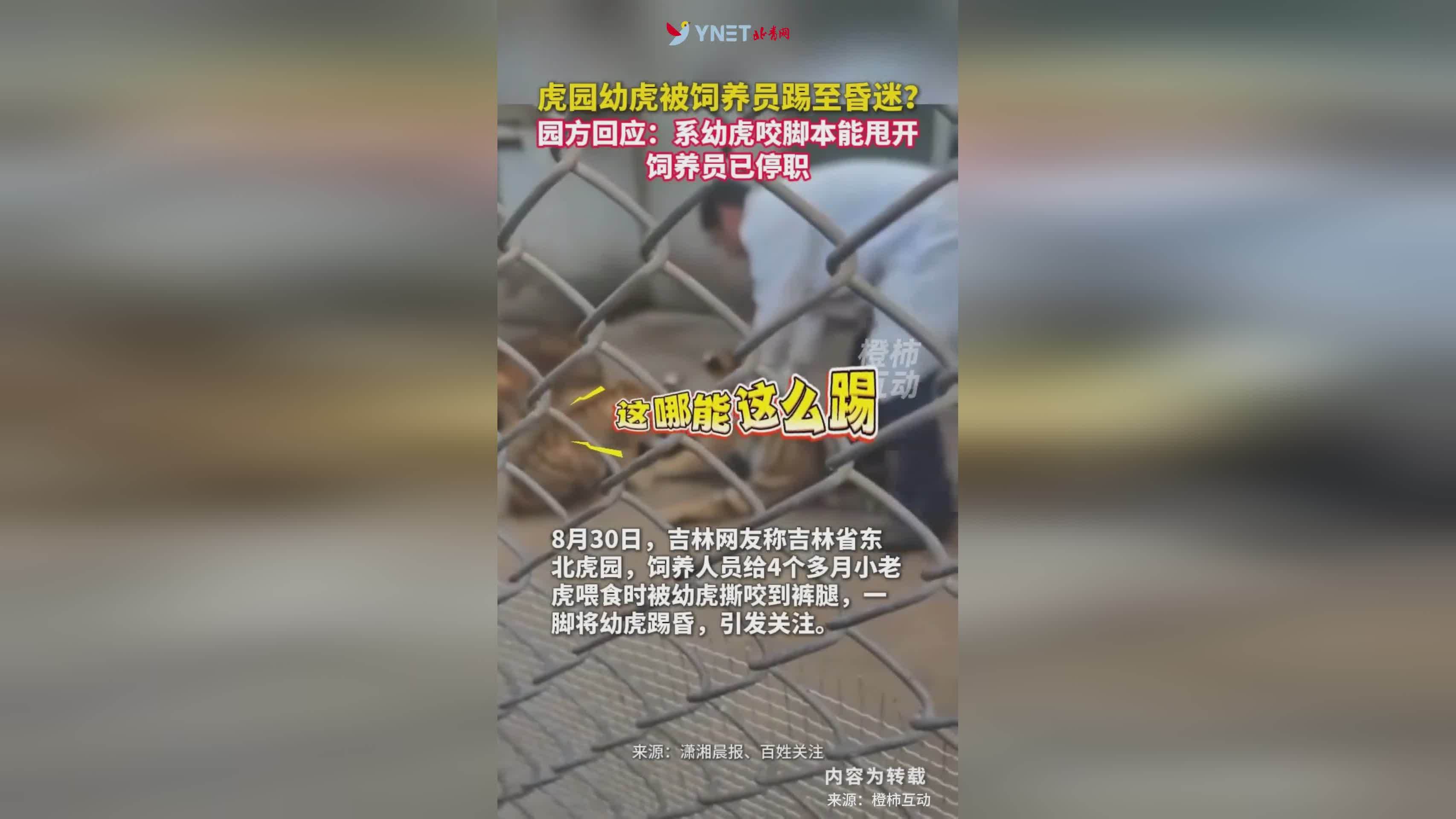 追觅蒸汽扫地机器人