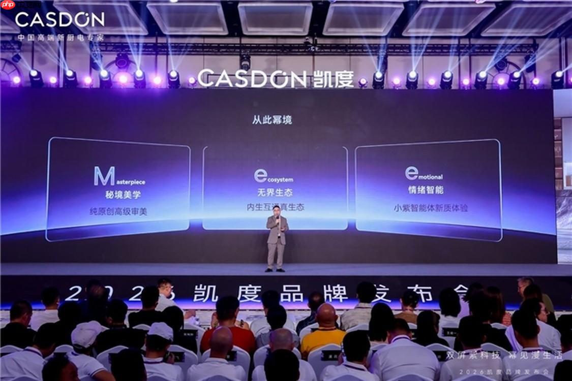 凯度X100 Mee嵌入橱柜与厨房整体效果