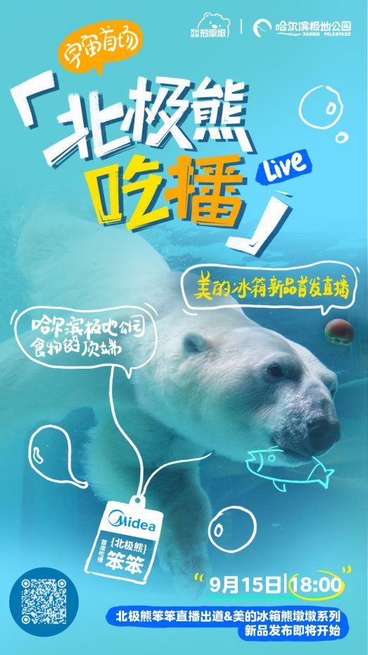 美的熊墩墩Pro620价格与定位