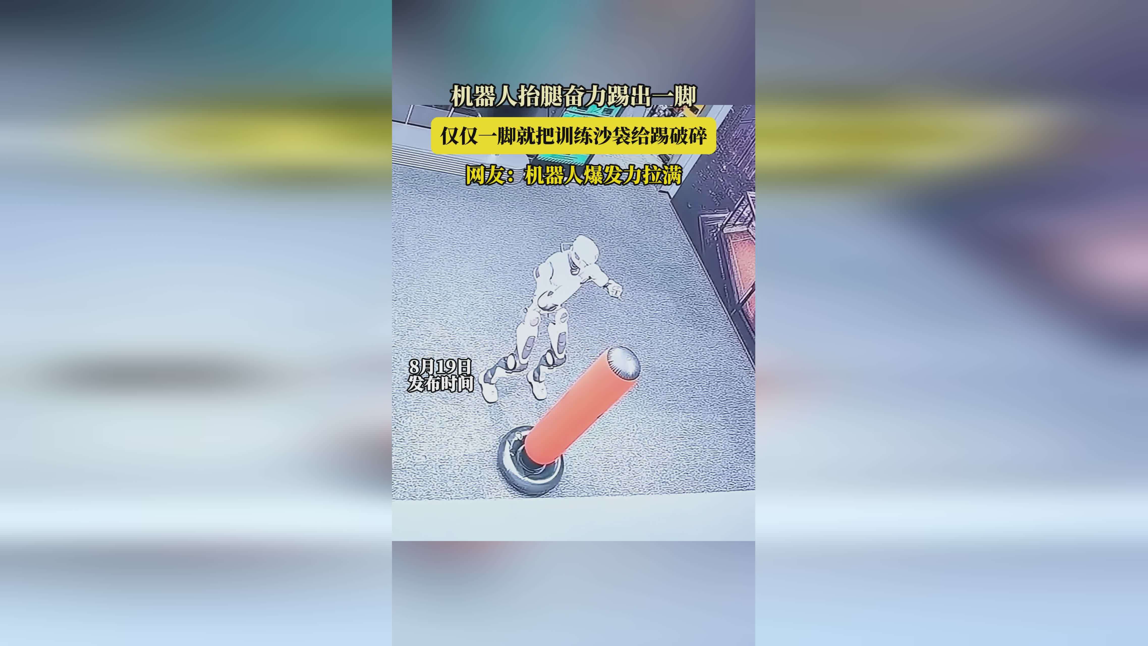 宇树R1